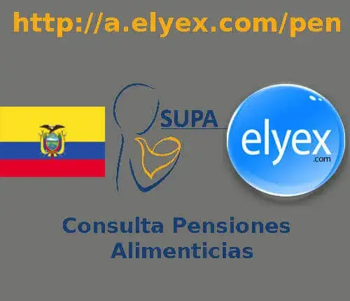 consulta pension alimenticias cuanto debo tabla funcion judicial elyex ecuador
