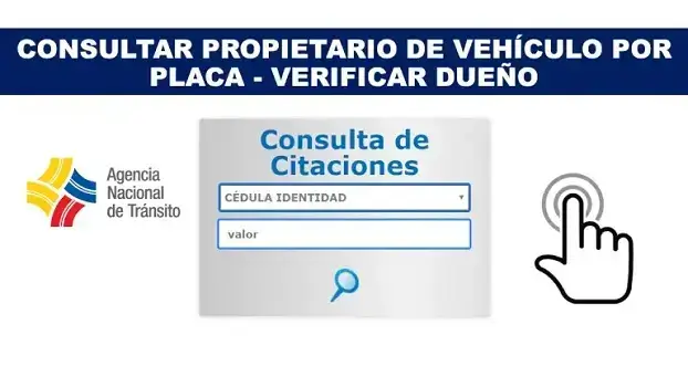 consultar propietario de vehículo