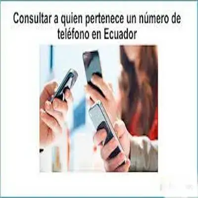 consultar numero telefono
