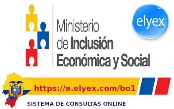 sistema consulta online ecuador