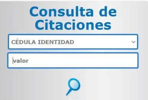 Consulta citaciones