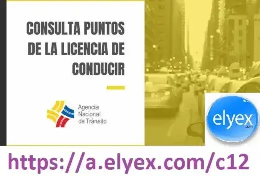 consulta puntos licencia conducir