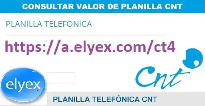 consultar valor planilla cnt