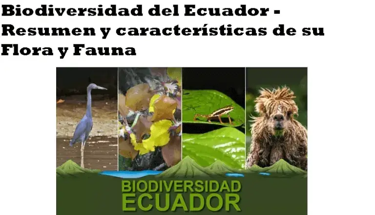 biodiversidad Ecuador