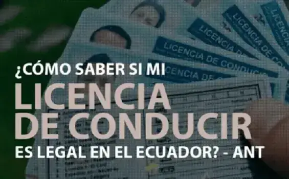 licencia legal de conducir