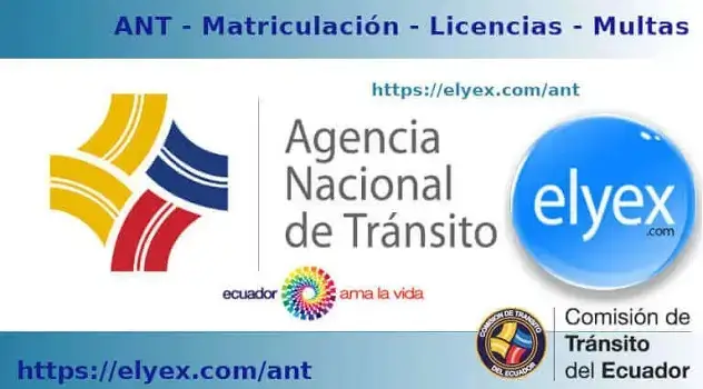 requisitos licencia agencia nacional transito