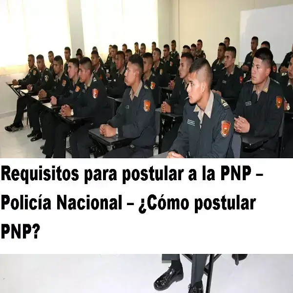 requisitos postular policía nacional