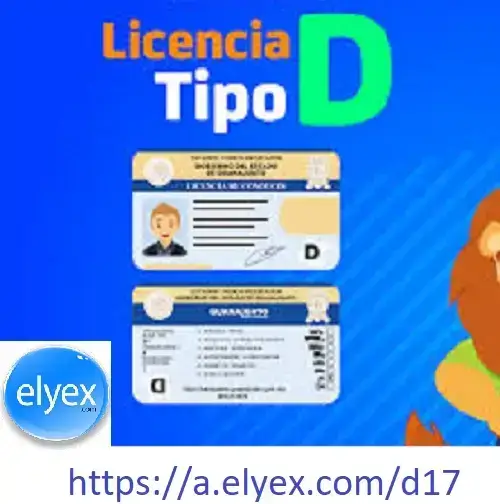 banco preguntas licencia tipo d
