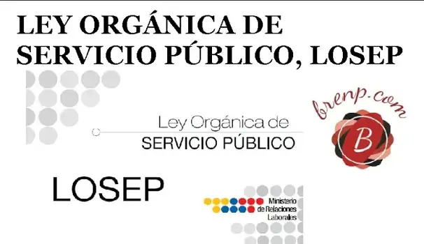 ley orgánica servicio público