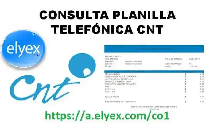 consulta online cnt planillas valor pagar