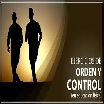 ejercicios orden control educación física