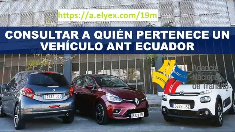 consulta pertenece vehiculo
