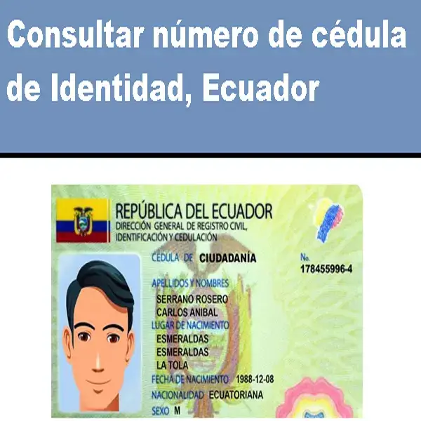 Consultar número de cédula de Identidad, Ecuador
