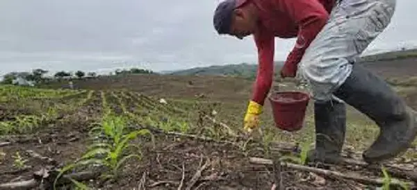 UDLA ofertará 20 becas para fomentar la educación agrícola