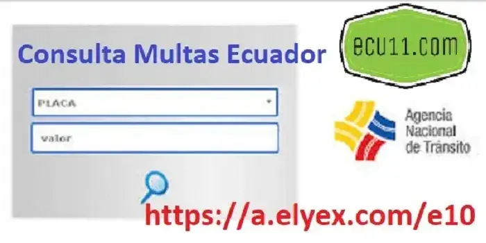 Consulta de Multas por placa ANT Ecuador, Citaciones, Infracciones