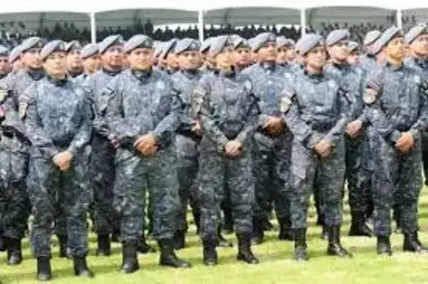 Los requisitos para gendarmería en México