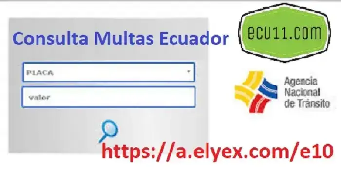 Consulta de Multas por placa ANT Ecuador, Citaciones, Infracciones