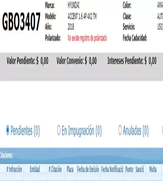 consultar-permiso polarizado ecuador