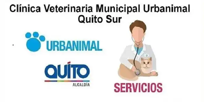 municipal clinica veterinaria urbanimal