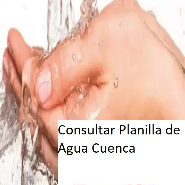 Consultar-Planilla-de-Agua-Cuenca