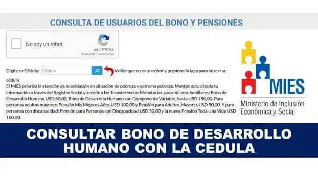 consultar-bono-desarrollo-humano-cedula-mies-ecuador-1