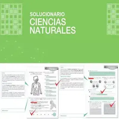 libros-ciencias-naturales-resueltos-mineduc (1)