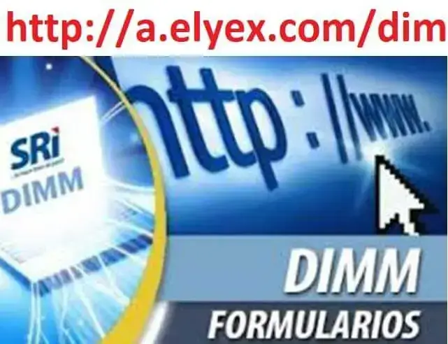 sri-dimm-formulario-anexos