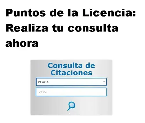 puntos-licencia-realiza-consulta