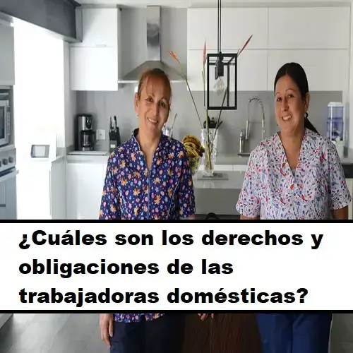 trabajadoras-domesticas