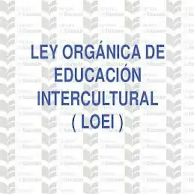 LOEI y su Reglamento Ecuador