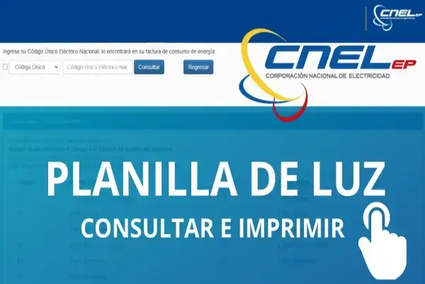 Consultar Planilla de Luz CNEL Guayaquil