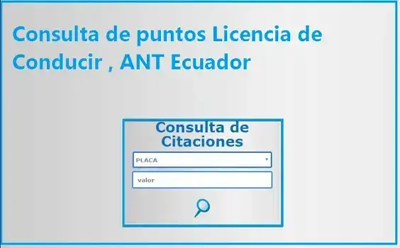 Consulta de puntos de Licencia de Conducir , ANT Ecuador