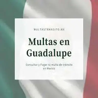 Consulta de Multas en Guadalupe en México