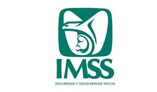 Cómo pagar el IMSS: Por Internet, por SIPARE y qué es el IMSS