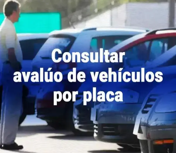 Consultar avalúo vehicular por placa en Ecuador